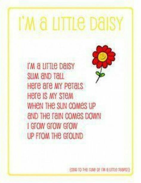 Daisy love... Flowers Lyrics, Plant Song, Spring Lesson Plans, Flower Parts, Preschool Spring, Spring Lessons, Circle Time Songs, Classroom Songs, Songs For Toddlers