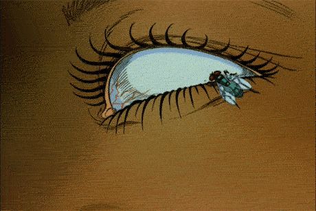 Aeon Flux - Album on Imgur Brown Aesthetic Gif, Anime Eyes Opening Gif, Retro Anime Aesthetic Gif, Eyes Animation, Red Anime Eyes Gif, Orange Anime Aesthetic Gif, Horror Gif Aesthetic, Eyes Gif, Cinemagraph Gif