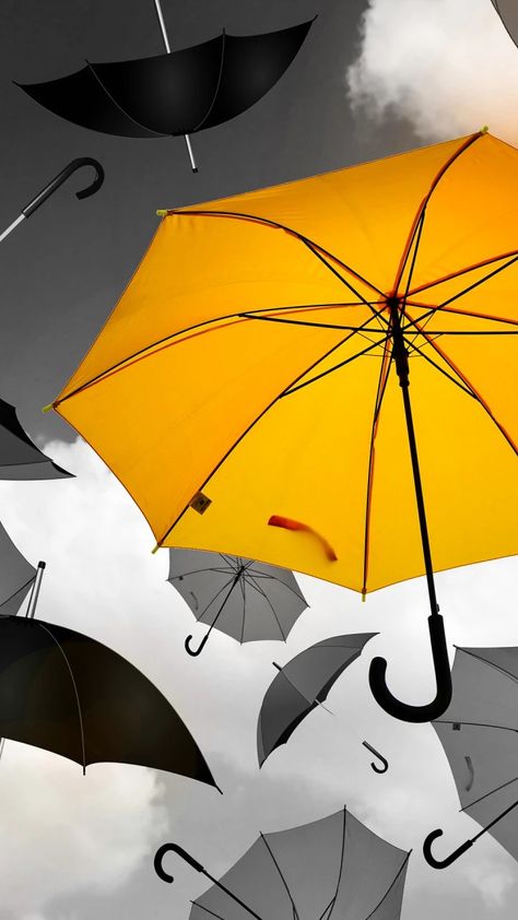 Yellow Umbrella, Umbrella Art, New Background Images, New Background, Out Of Place, New Backgrounds, Colour Yellow, Splash Of Colour, 11 11