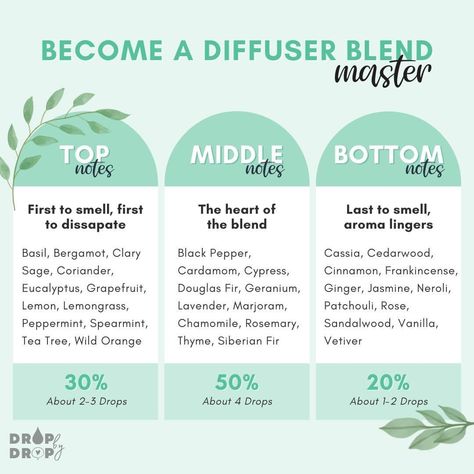 Essential Oil Blends Jasmine, Scent Combos Essential Oils, Neroli Essential Oil Diffuser Blends, Jasmine Essential Oil Blends Diffuser, Woody Essential Oil Blends, Middle Earth Essential Oil Blend, Jasmine Diffuser Blends, Jasmine Essential Oil Blends Perfume, How To Mix Essential Oils