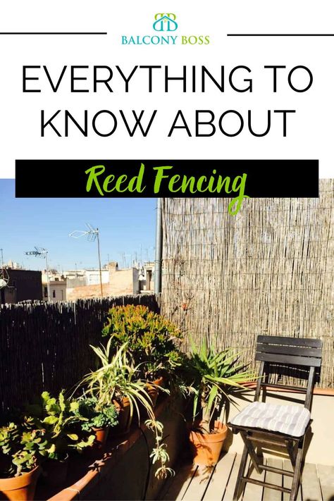 Reed fencing is an incredibly versatile product, both indoors and out. It’s eco-friendly, easy to use and, generally, inexpensive. Choosing the best reed fence for your needs isn’t too difficult, but it’s worth learning more about it before making your pick. So that’s exactly what we’ll do here. This post includes everything you need to know about reed fencing for use around the home. Reed Fence, Reed Fencing Ideas, Privacy Fence Deck, Reed Fencing, Porch Privacy, Balcony Privacy, Privacy Fence, Covered Decks, Fence Decor