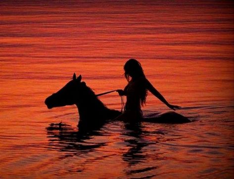 Cowboy Baby, Horse Aesthetic, Arte Inspo, Summer Dream, Horse Girl, Httyd, Belfast, A Horse, In Water