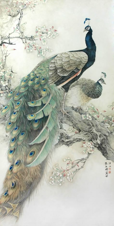 Peacock Drawing, Peacock Wall Art, Chinese Art Painting, Peacock Painting, Peacock Art, The Peacock, Japanese Painting, Arte Animal, Beginner Painting