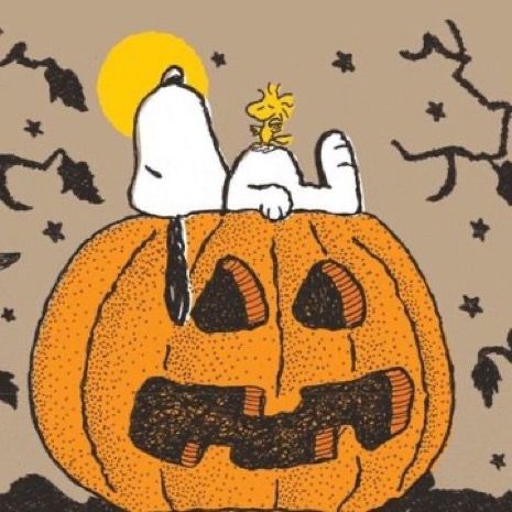 Snoopy Holidays, Charlie Brown Halloween, Creepy Places, Peanuts Halloween, Snoopy Halloween, Snoopy Wallpaper, Hello October, Snoopy Quotes, Snoopy Pictures