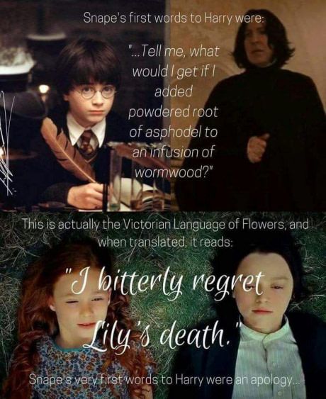 Severus Sneep, Meme Harry Potter, Citate Harry Potter, Glume Harry Potter, Severus Rogue, Harry Potter Memes Hilarious, Harry Potter Feels, Harry Potter Puns, Theme Harry Potter