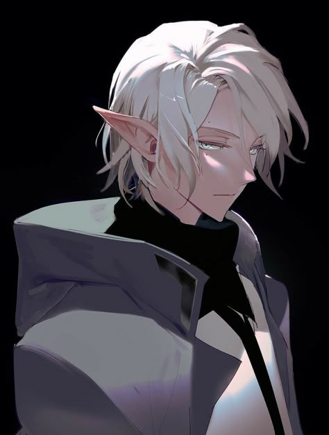 Male White Hair, Elf Drawings, Male Elf, Lord Of Heroes, Anime Elf, Elf Art, Digital Art Anime, Character Design Male, Anime Drawings Boy