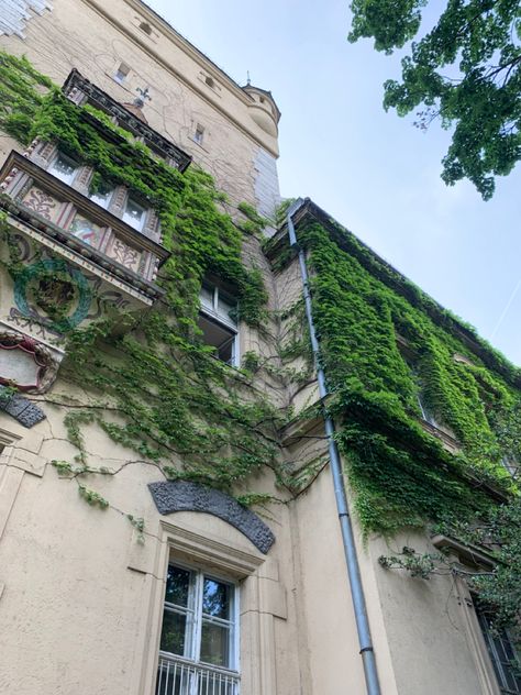 Moss On Buildings, Mossy Building, Moss Building, Wall Moss, Folklore Fairy, Architect Project, Wall Plants, Ivy Wall, Book Scrapbook