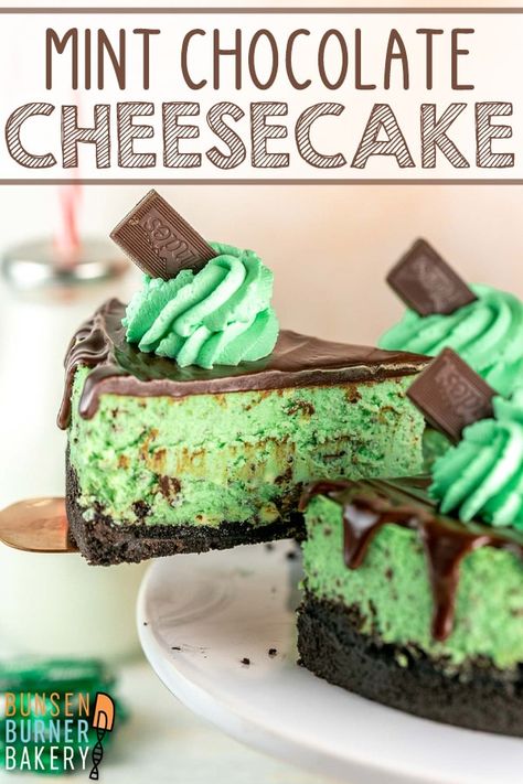 Mint Chocolate Cheesecake: With an Oreo crust, mint chocolate chip filling, chocolate ganache, and mint whipped cream, this cheesecake is ready for birthdays and celebrations! Easy recipe directions for a PERFECT cheesecake every time! Andes Mint Cheesecake, Mint Chocolate Recipes, Mint Chocolate Cheesecake, Andes Mints, Perfect Cheesecake, Mint Desserts, Mint Cheesecake, Yummy Cheesecake, Mint Oreo