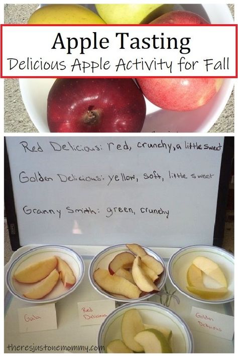 Looking for a fun and simple apple activity for kids?  Try apple tasting! #preschool #appleunit #sensory #fall #kidsactivities Apple Taste Test Preschool, Apple Tasting Preschool, Exploring Apples Preschool, Apple Large Motor Activities, Apples On Top Activities, Apple Sensory, Apple Tasting, Apple Week, Autumn Adventures