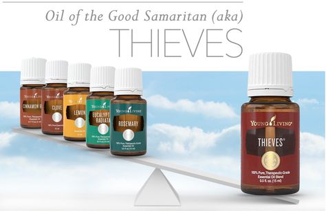 Good Samaritan Oil, aka THIEVES Good Samaritan Oil Recipe, Young Living Rosemary, Essential Oils Cats, Young Living Lemon, Thieves Oil, Cinnamon Essential Oil, Good Samaritan, Essential Oil Mixes, Oil Industry