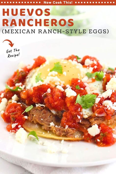 These quick and easy Huevos Rancheros have fried corn tortillas topped with refried beans, fried eggs, warm salsa, queso fresco, and fresh cilantro. Also known as ranch-style eggs or rancher's eggs, this classic Mexican breakfast is hearty, filling, incredibly delicious, and ready in under 30 minutes. They're also great for brunch, lunch or dinner! Get the recipe and try them! Warm Salsa, Easy Huevos Rancheros, Fried Corn Tortillas, Bean Salsa, Mexican Breakfast, Fried Corn, Fried Eggs, Tex Mex Recipes, Corn Tortillas