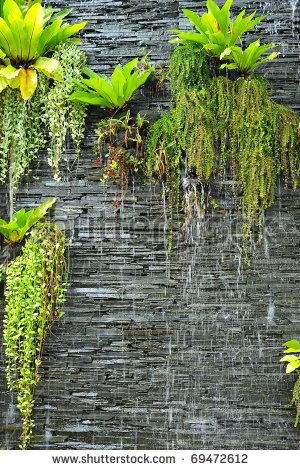 a waterfall on the stone wall  with the green plants Kolam Koi, Taman Air, Water Feature Wall, Outdoor Water Features, Vertical Vegetable Garden, Waterfall Wall, Walled Garden, Big Garden, Water Walls