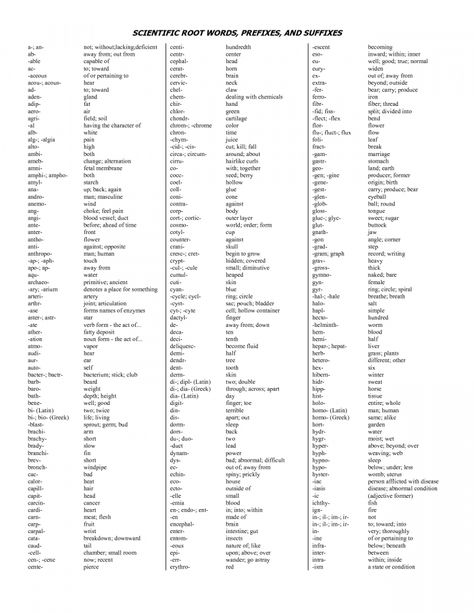 Root Words Prefixes And Suffixes, Root Words Activities, Teaching Prefixes, Latin Root Words, Medical Terminology Study, Suffixes Worksheets, Vocabulary Notebook, Medical Words, Word Formation