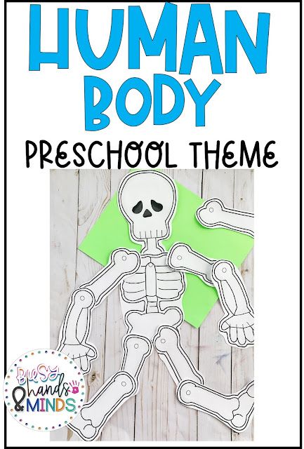 Human Body Preschool Theme My Body Theme For Preschool, Learning About The Body For Preschool, Anatomy For Preschoolers, Anatomy Crafts For Preschool, My Body And Health Preschool, Human Body Lesson Plans For Preschool, All About My Body Preschool Activities, My Body Art Preschool, Body Awareness Activities For Preschool