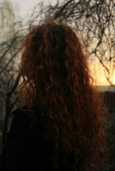 curly red hair Wild Curly Red Hair, Wild Red Hair Aesthetic, Red Head Angel Art, Red Hair Curly Hairstyles, Red Haired Face Claim, Curly Red Hair Naturally, Red Curly Hair Aesthetic, Curly Red Hair Aesthetic, Curly Red Head