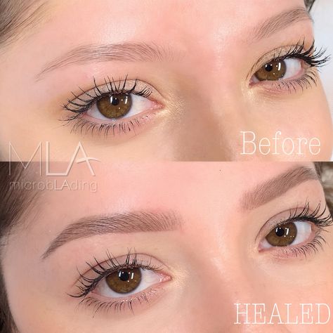 Blonde Hair Eyebrows, Mircoblading Eyebrows, Ombre Eyebrows, Blonde Eyebrows, Bentuk Alis, Powder Brows, Natural Ombre, Brow Tattoo, Permanent Makeup Eyebrows