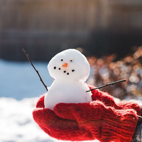 Funny Winter Captions, Winter Instagram Captions, Person Pose, Dream Boards, Theme Carnaval, Pictures Winter, Clown Hat, Small Snowman, Feel Happier