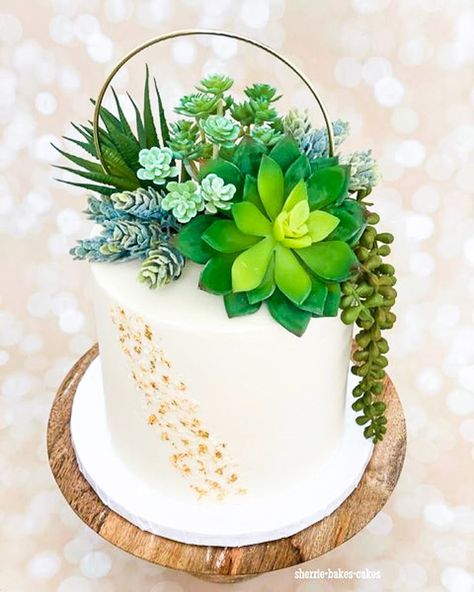 Plant Cake Ideas Minimalist, Plant Decorated Cake, Succulents Cake Ideas, Plant Themed Birthday Cake, Succulent Cake Birthday, Plants Cake Design, Plant Cake Design Birthday, Plant Theme Cake, Plant Birthday Cakes