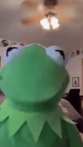 Kermit Gif, Kermit The Frog Gif, The Muppet Show, Good Anime To Watch, Kermit The Frog, Jim Henson, The Frog, Cute Gif, Feature Film