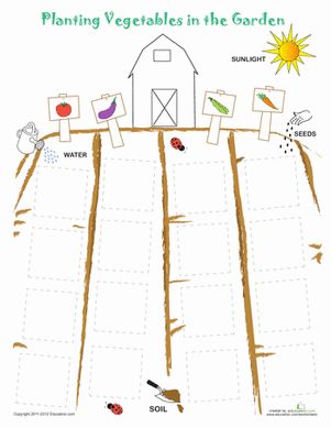 Preschool Plants, Animals & the Earth Sorting & Categorizing Worksheets: Plant a Vegetable Garden Worksheet Garden Worksheet, Plants Worksheets, Life Science Activities, Preschool Farm, Sensory Kids, Garden Unit, Preschool Garden, Farm Unit, Farm Preschool