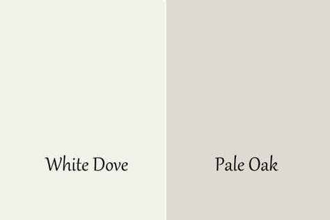 I love transforming a space and the easiest way to do that is with paint. Today we will be reviewing Benjamin Moore Pale Oak, one of BM's prettiest neutral paint colors. Pale Oak Walls White Dove Trim, Benjamin Moore Accent Wall, Pale Oak Benjamin Moore, Benjamin Moore Pale Oak, Greige Paint Color, Kitchen Cabinet Color Schemes, White Interior Paint, Light Paint Colors, Pale Oak