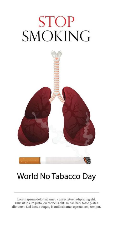 Poster, flyer or banner for World No Tobacco Day and an image of human lungs. Vector illustration, stop tobacco Stop Illustration, Human Lungs, Kindle Book Cover, Vector Brush, Advertising Poster, Lungs, Poster Design, Vector Free, Vector Illustration