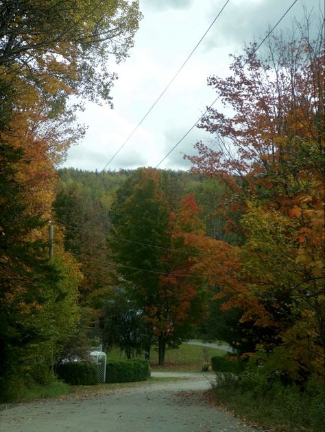 autumn vibes, fall weather, fall colors, autumn leaves, small town Maine Maine Small Town, Small Town Autumn, Small Town Boy Aesthetic, Small Town Aesthetic Fall, Maine Aesthetic, Good Girl Bad Boy, Rachel Price, Oregon Aesthetic, Maine Fall