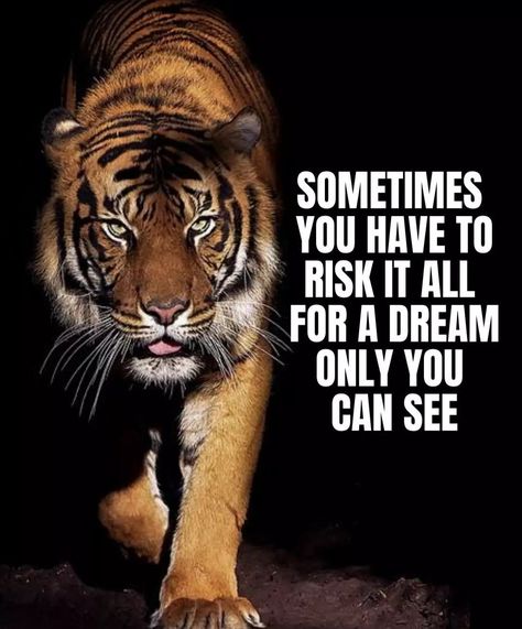 Spirit Animal Tiger, Animal Motivation, Lion Memes, Cheering Quotes, Dangerous Quotes, Tiger Quotes, Life Quotes Relationships, Animals Quotes, Leadership Quotes Inspirational