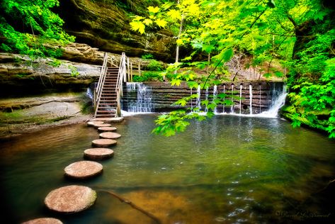 The 7 Best Spots for Hiking Near Chicago Illinois State Parks, Starved Rock State Park, Waterfall Pictures, Picture Places, All I Ever Wanted, Beautiful Waterfalls, Go Outside, State Park, Nebraska