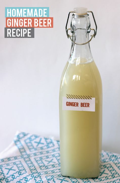 Drinkable Potions, Ginger Beer Mule, Homemade Ginger Beer, Fermenting Foods, Ginger Beer Recipe, Pickle Vodka, Soda Syrup, Beer Recipe, Trini Food