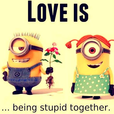 Love Is Being Stupid Together minion minions minion quotes minion quotes and sayings minion love quotes minions cute love quotes Minion Love Quotes, Minions Images, Minion Characters, Minions Humor, Minion Pictures, Minion Jokes, Minions Love, Cute Minions, Romance Quotes