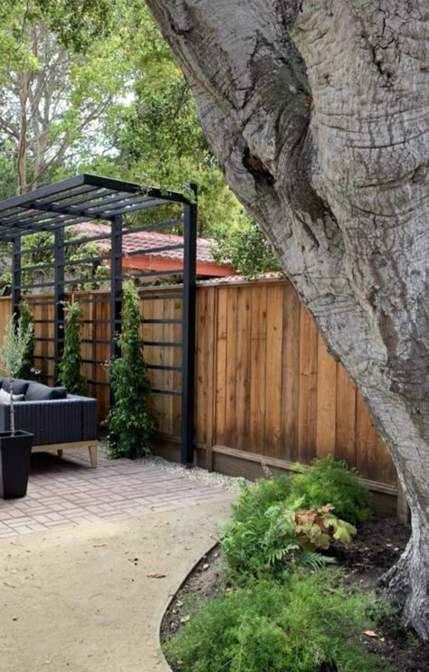 Cantilevered Pergola DIY - Kismet House Spa Courtyard, Cantilevered Pergola, Traditional Pergola, Kismet House, Family Room Windows, Alright Alright Alright, Pergola Diy, Native Gardens, Outdoor Space Design