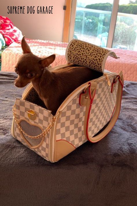 designer dog carrier Dog Purse Carrier, Large Dog Carrier, Luxury Dog Carrier, Purse Dog, Puppy Purse, Dog Travel Carrier, Cat Carriers, Designer Dog Accessories, Dog Carrier Purse