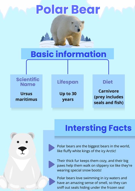 polar bear#animals#ice animals#bears#all about animal Bear Facts For Kids, Wildlife Vet, Ice Animals, Polar Animals Preschool, Polar Bear Facts, Polar Animals, All About Animals, Animal Facts, Bear Stuffed Animal