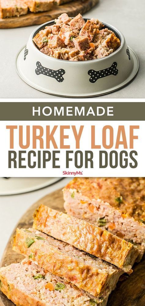 Dog Food Recipes Crockpot, Turkey Loaf, Foods Dogs Can Eat, Dog Food Recipe, Diy Dog Food, Make Dog Food, Dog Biscuit Recipes, Easy Dog Treats, Healthy Dog Treats Homemade