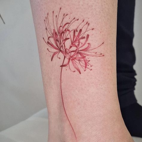 Japanese Spider Lily Tattoo, Japanese Spider Lily, Spider Lily Tattoo, Lillies Tattoo, Lily Tattoo Design, Lily Flower Tattoos, Spider Lily, Red Ink Tattoos, Tatuaje A Color