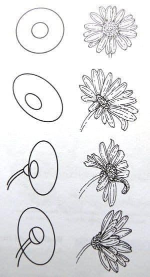 Trin For Trin Tegning, Flower Drawing Tutorials, Flower Art Drawing, Flower Sketches, Floral Drawing, Watercolor Flower Art, 수채화 그림, Pencil Art Drawings, Flower Art Painting