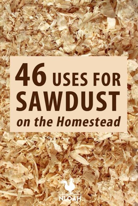 Uses For Sawdust, Sawdust Uses, Homesteading Diy Projects, Composting Toilets, Wood Shavings, Homesteading Diy, Homesteading Skills, Wood Projects That Sell, Cool Wood Projects