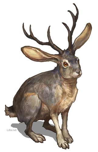 Jackalope - G.River.  Beware the jackalope.  Half antelope half rabbit...born by accident when an antelope slid under a fence and accidentally impregnated a rabbit crouched nearby.   Whoooaaa. Magic Creatures, Mythical Animal, Fantasy Beasts, Mythological Creatures, Creature Concept Art, Mystical Creatures, Arte Fantasy, Creature Concept, Magical Creatures