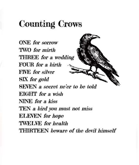 Crows Poem, Gothic Poems, Creepy Poems, Poems About Love, One For Sorrow, Counting Crows, Goth Baby, Baby Bats, Poem Quotes