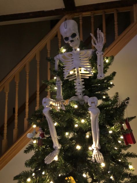 Maine skeleton crew skeleton sitting in a Christmas tree. Chaotic Christmas Aesthetic, Skeleton Christmas Tree, Skeleton Memes, Chaotic Aesthetic, Skeleton Aesthetic, Deer Skeleton, Skeleton Sitting, Skeleton Pics, Giant Skeleton