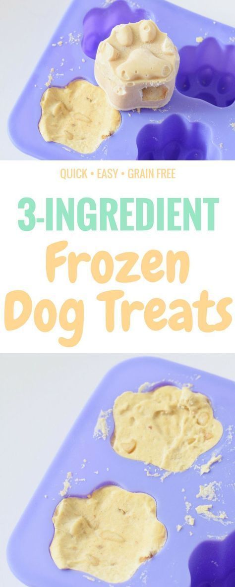 Frosty Paws Recipe, Diy Dog Treats Healthy, Diy Frosty, 3 Ingredient Dog Treats, Frosty Paws, Dogs Treats, Dog Treats Homemade Easy, Easy Dog Treat Recipes, Diy Dog Food