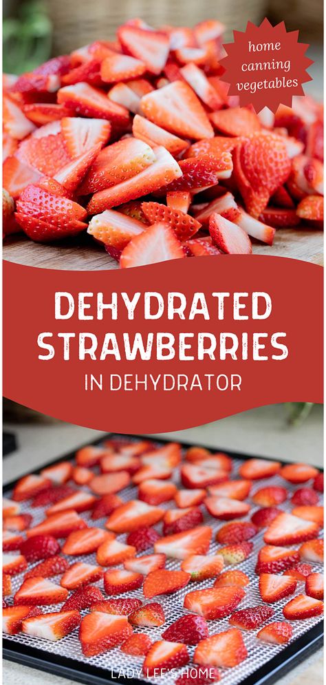 If you're growing strawberries, don't let them go to waste! Preserve your fresh strawberries by dehydrating them. This dehydrator fruit recipe is perfect for beginners and will teach you how to make dehydrated strawberries that are full of flavor. A great way to make sure you always have strawberries on hand! Dehydrating Strawberries, Dehydrate Strawberries, Preserve Fruit, Dehydrator Recipes Fruit, Strawberry Harvest, Dehydrated Bananas, Slow Cooker Venison, Dehydrating Food Storage, Dehydrated Strawberries