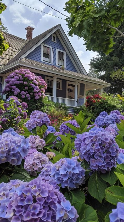 Charming #HydrangeaHouse: A picturesque home with a cozy #FrontPorch is beautifully framed by blooming purple hydrangeas. #BloomingFlowers #GardenDesign #CozyHome #PhotographyArt #CreativeAI #DownloadNow ⬇️ Download and 📝 Prompt 👉 https://stockcake.com/i/charming-hydrangea-house_659657_556506 Hydrangea House Exterior, Hydrangea House, Hydrangea Wall, Hydrangea Purple, Purple Home, Garden Images, Climbing Roses, Blooming Flowers, Summer Of Love