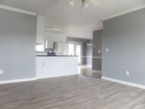 Grey Walls White Trim, Grey Paint Living Room, Light Grey Paint Colors, Wall Painting Living Room, Living Room Wood Floor, Gray Walls, Light Grey Walls, Bathroom Walls, Trendy Living Rooms