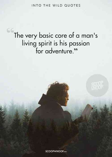 20 'Into The Wild' Quotes That Teach Us That Life Is The Only True Adventure Wild Movie Quotes, Jon Krakauer, Christopher Mccandless, Wild Quotes, Wild Movie, Self Respect Quotes, Walter Mitty, Wild Tattoo, Notable Quotes