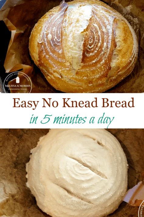 Artesian Bread, No Knead Artisan Bread, Easy No Knead Bread, Artisan Bread Recipe, No Knead Bread Recipe, Everything Bread, Fresh Baked Bread, Knead Bread Recipe, Homemade Bread Recipes Easy