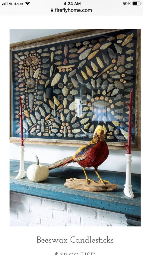 Arrowhead Collection Display, How To Display Arrowheads, Arrow Head Display Ideas, Arrowhead Display Ideas, Whipstaff Manor, Arrowhead Art, Arrowhead Display, Artifact Display, Fossil Display