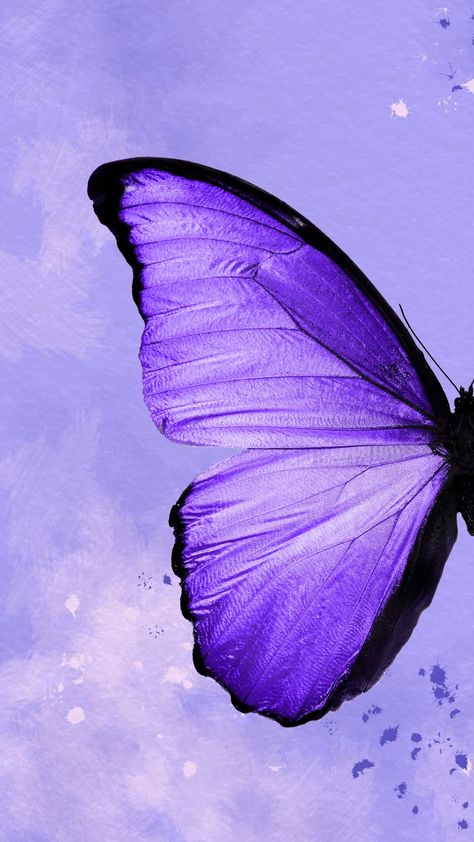 Purple Butterfly Wallpaper, Purple Aesthetic Background, Aesthetic Butterfly, Cute Home Screen Wallpaper, Purple Flowers Wallpaper, Wallpaper Girly, Butterfly Tattoos, Home Owner, Butterfly Tattoo Designs