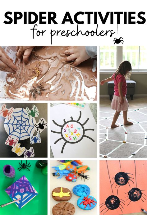 Spider Theme Preschool, Preschool Seasons, Tot School Curriculum, Spiders Preschool, Spider Unit, Spider Activities, Kindergarten Halloween, Spider Theme, Study Activities